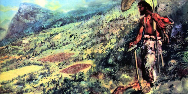 La vuelta a lo sencillo