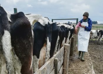 Mercado mundial de lácteos: Con un comportamiento inusual pero no blindado frente a la situación actual