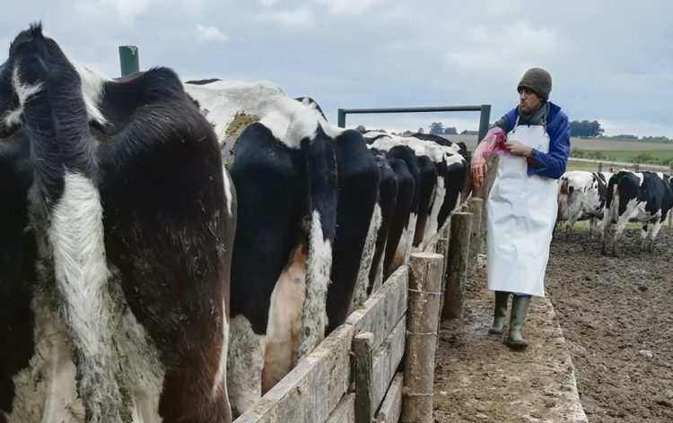 Mercado mundial de lácteos: Con un comportamiento inusual pero no blindado frente a la situación actual