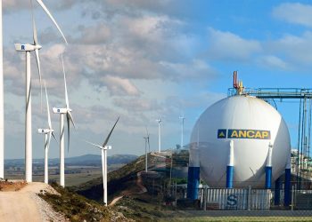 Otro costo más de la novelería progresista