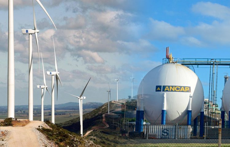 Otro costo más de la novelería progresista