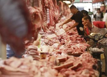 Fuerte caída de la producción de carne