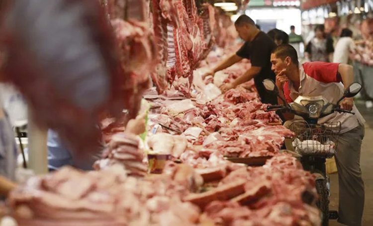 Fuerte caída de la producción de carne