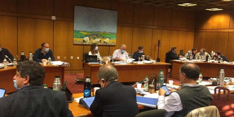 Coalición de gobierno ajusta últimos detalles de la ley de urgencia y oposición plantea sus reparos