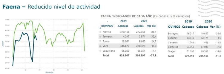En los primeros cuatro meses de 2020 los uruguayos redujeron 5,1 % el consumo de carne