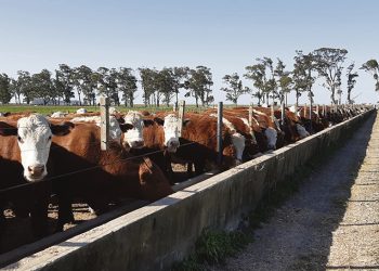 El agro y el país en el vendaval