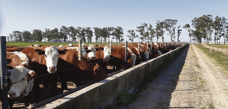 El agro y el país en el vendaval