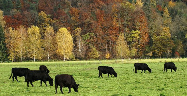 Ejercicio agrícola con múltiples desajustes
