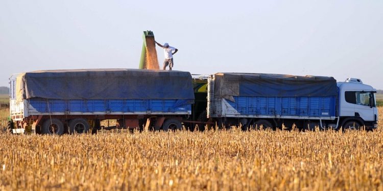 Ministro Uriarte advirtió sobre hurto de granos e instó a denunciar cualquier irregularidad