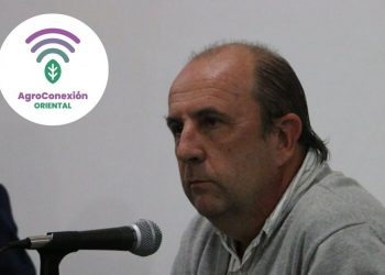 Jóvenes preguntan a Esteban Carriquiry