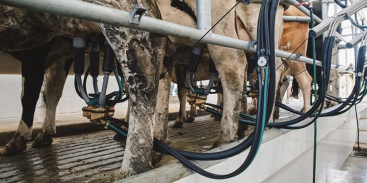 Para los tambos, la única solución, es bajar los costos del país