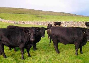 Ejercicio agrícola con múltiples desajustes