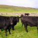 Ejercicio agrícola con múltiples desajustes