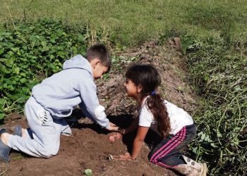La oportunidad de producir alimentos