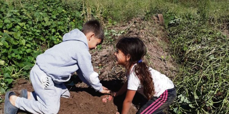 La oportunidad de producir alimentos