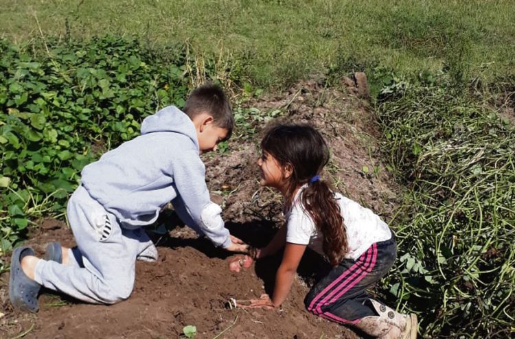 La oportunidad de producir alimentos