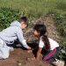 La oportunidad de producir alimentos