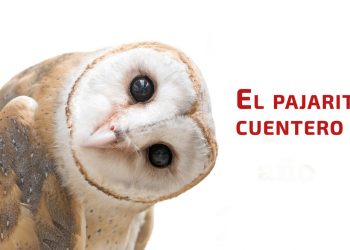 El pajarito cuentero