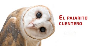 El pajarito cuentero