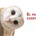 El pajarito cuentero
