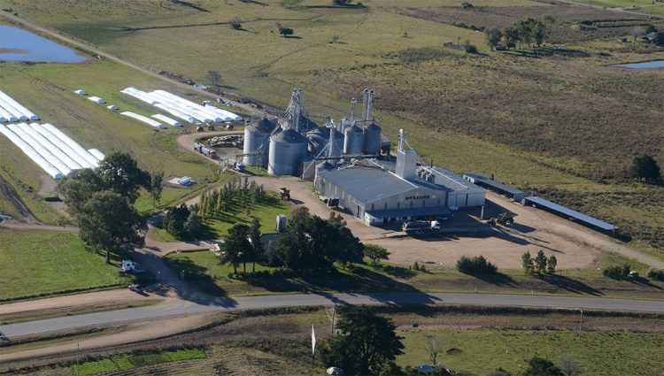 El Plan A: crear las condiciones