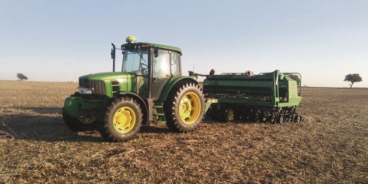 Por distintas razones, trigo y cebada tendrán un área menor a la del año pasado