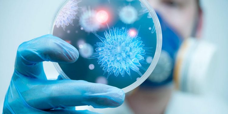 No todo es COVID-19:  los otros virus que están en circulación