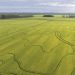 Arroz sinónimo de medio ambiente y producción. Modelo de intensificación sostenible