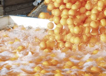 No podemos permitir el cierre de Citrícola Salteña