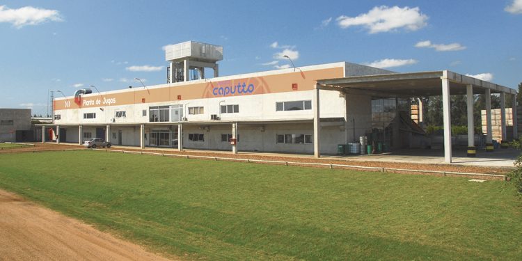 ¿Qué va a pasar al otro día de que cierre Citrícola Salteña?