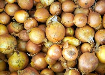El déficit hídrico y el frío empujaron el precio de las cebollas y los tomates