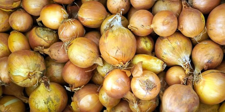 El déficit hídrico y el frío empujaron el precio de las cebollas y los tomates