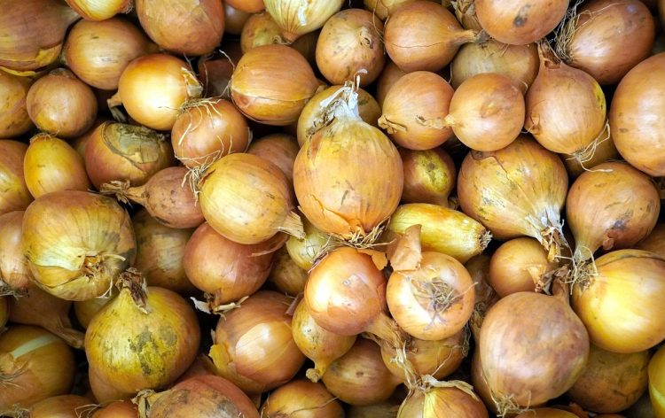 El déficit hídrico y el frío empujaron el precio de las cebollas y los tomates