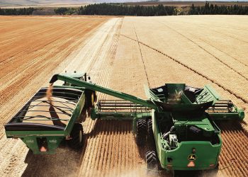 El Agro es el motor, no siempre reconocido