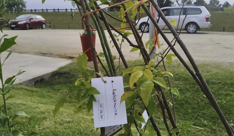 Irene Moreira: Educación, participación y transparencia pensando en las futuras generaciones