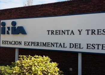 Revista científica publicó trabajo de técnicos de INIA sobre producción arrocera
