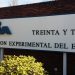 Revista científica publicó trabajo de técnicos de INIA sobre producción arrocera