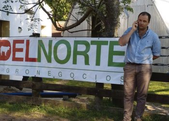 Ganado en pie: Uruguay ofrece calidad, pero pierde en competitividad con Brasil