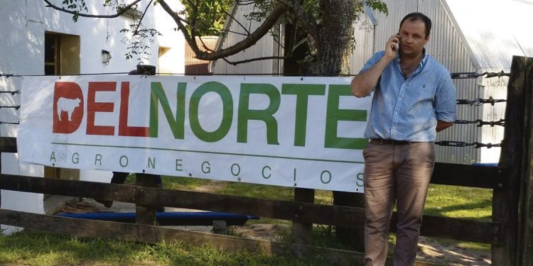 Ganado en pie: Uruguay ofrece calidad, pero pierde en competitividad con Brasil