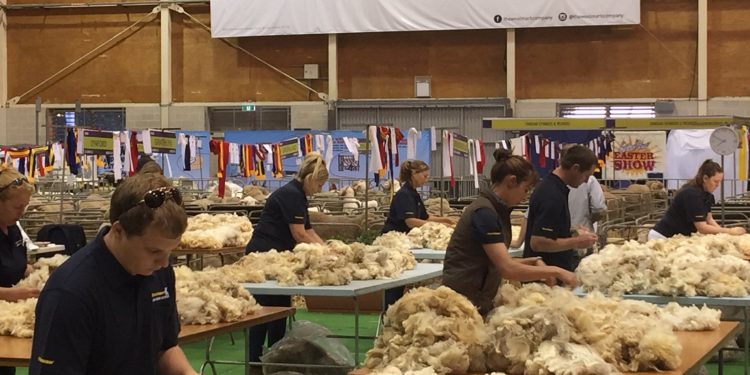 La zafra de lanas 2019/2020 terminó con precios deprimidos