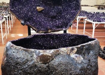 “Se podrían generar 800 puestos de trabajo en Artigas”