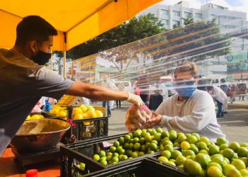Perú anunció y comenzó a implementar millonaria ayuda al sistema agrícola y el trabajo rural