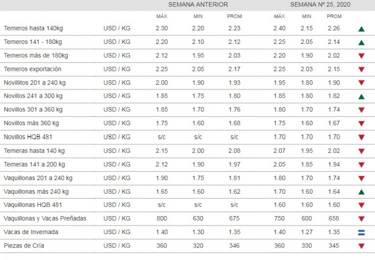 Menor oferta afirmó los valores de la hacienda