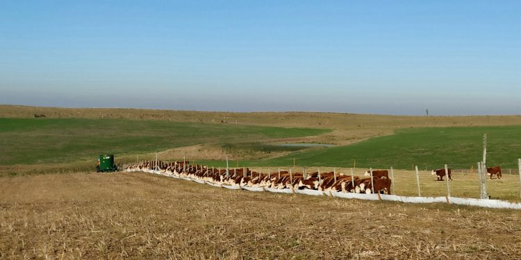 Encierre a corral: alternativa tecnológica para el invierno