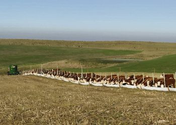 Munyo: “Sería un crimen no suprimir limitantes que impiden el crecimiento de la ganadería”