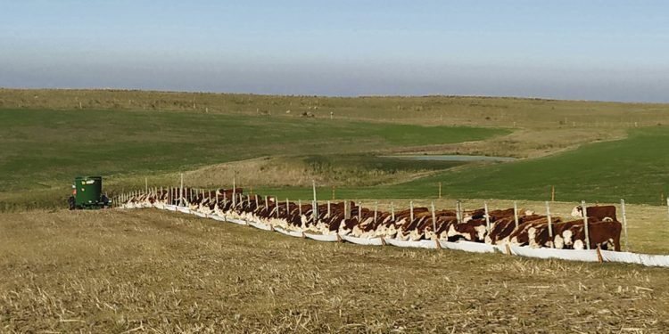 Munyo: “Sería un crimen no suprimir limitantes que impiden el crecimiento de la ganadería”