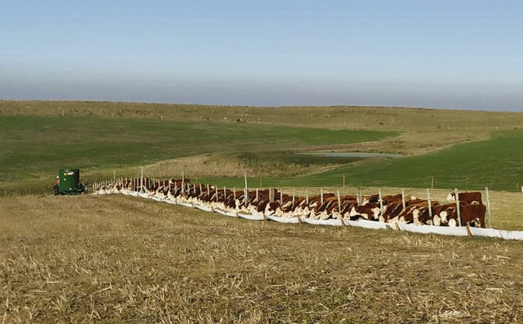 Munyo: “Sería un crimen no suprimir limitantes que impiden el crecimiento de la ganadería”