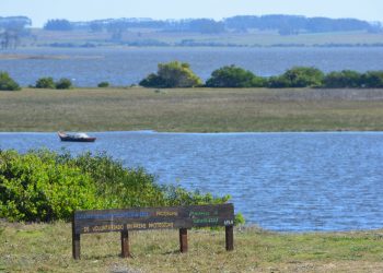 El medio ambiente y la LUC: El “difícil equilibrio legal” para la creación de Áreas Protegidas