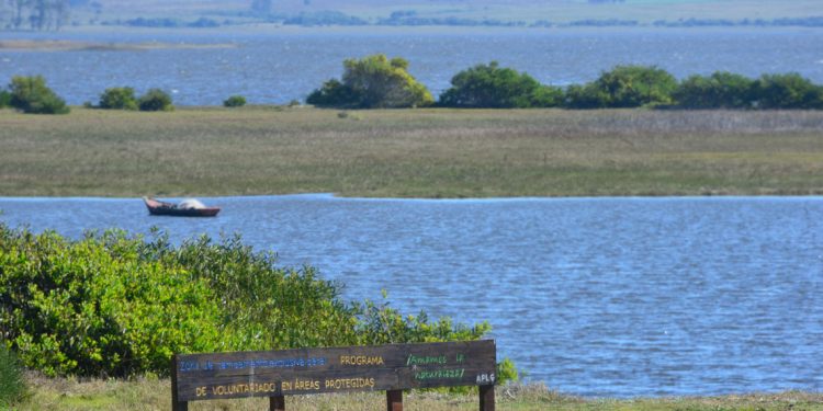 El medio ambiente y la LUC: El “difícil equilibrio legal” para la creación de Áreas Protegidas