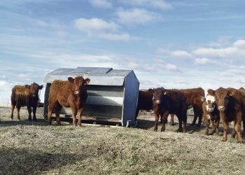 Encierre a corral: alternativa tecnológica para el invierno